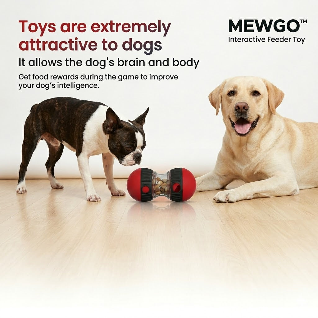 MewGo SlowBite™ Toy